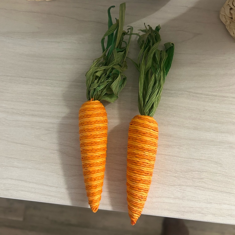 Decorative Carrots (2)